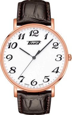 Часы Tissot Everytime Large T109.610.36.012.01