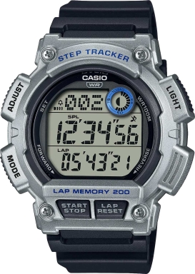 Часы Casio Collection WS-2100H-1A2