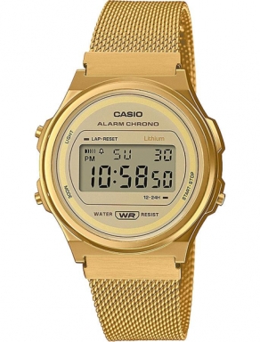 Часы Casio Vintage A171WEMG-9AEF