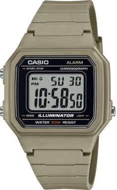 Часы Casio Collection W-217H-5A